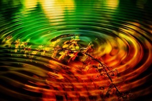 wave-4449405_1280